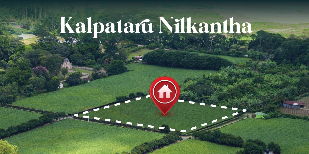 Kalpataru Tarangan